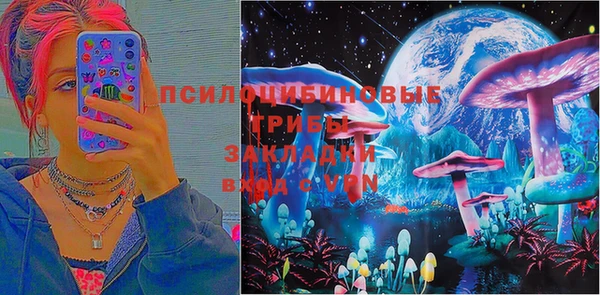 а пвп мука Бугульма