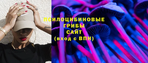 а пвп мука Бугульма
